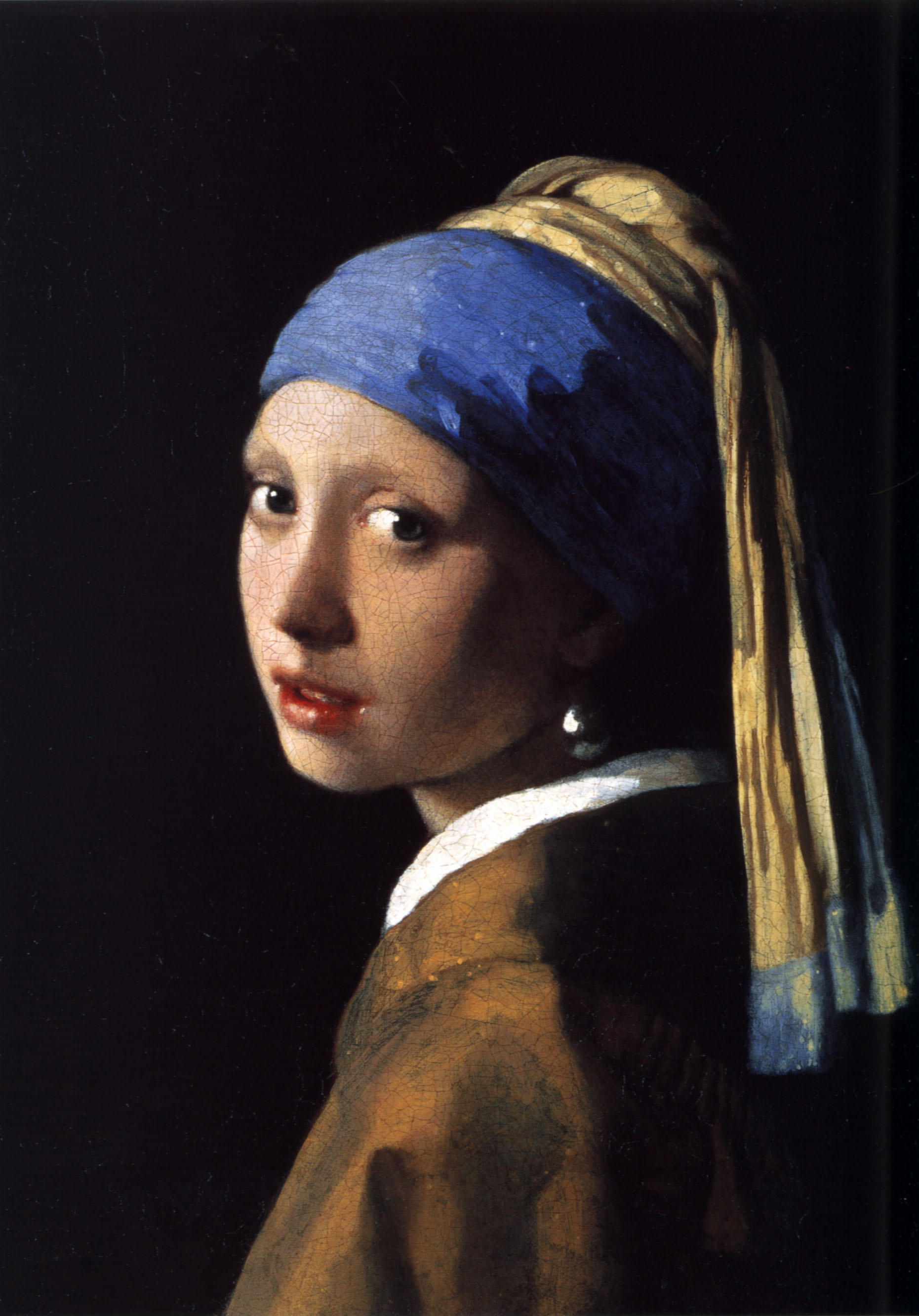 girl with a pearl earring by johannes vermeer