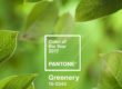 http://herberiadelcorso.blogspot.com/2017/01/il-greenery-di-pantone-un-inno-alla.html