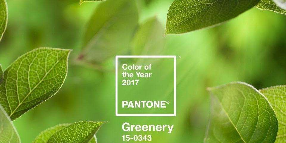 http://herberiadelcorso.blogspot.com/2017/01/il-greenery-di-pantone-un-inno-alla.html
