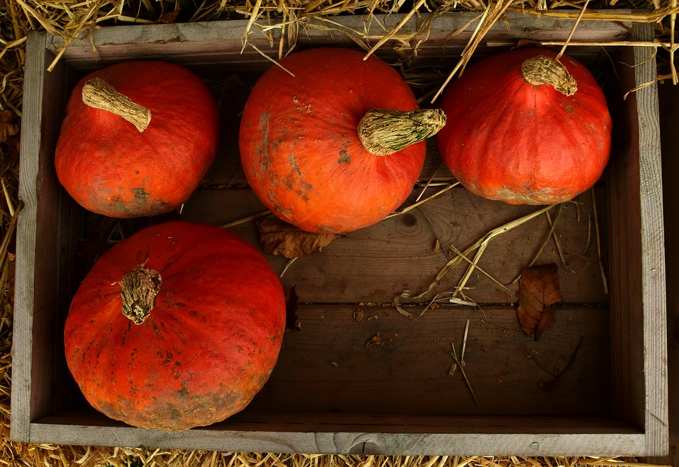 four small orange pumpkins in a crate DIY fall decor