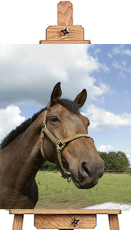 Easel Dutch Master Horse
