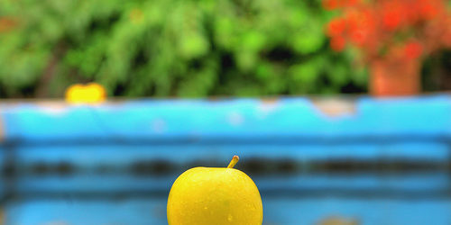 Summer colors: Photo by Shahram Sharif