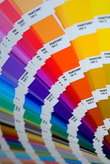 Who Creates Color Trends